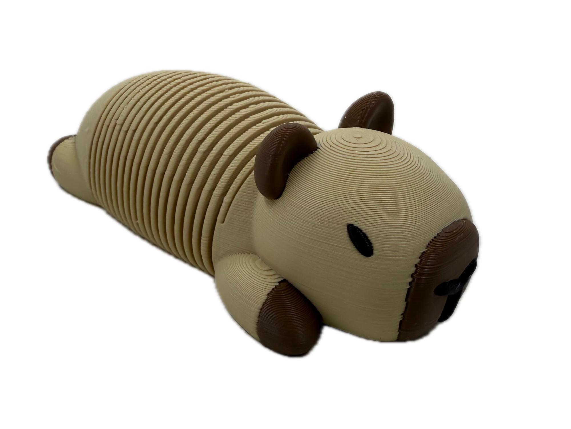 Springy Capybara